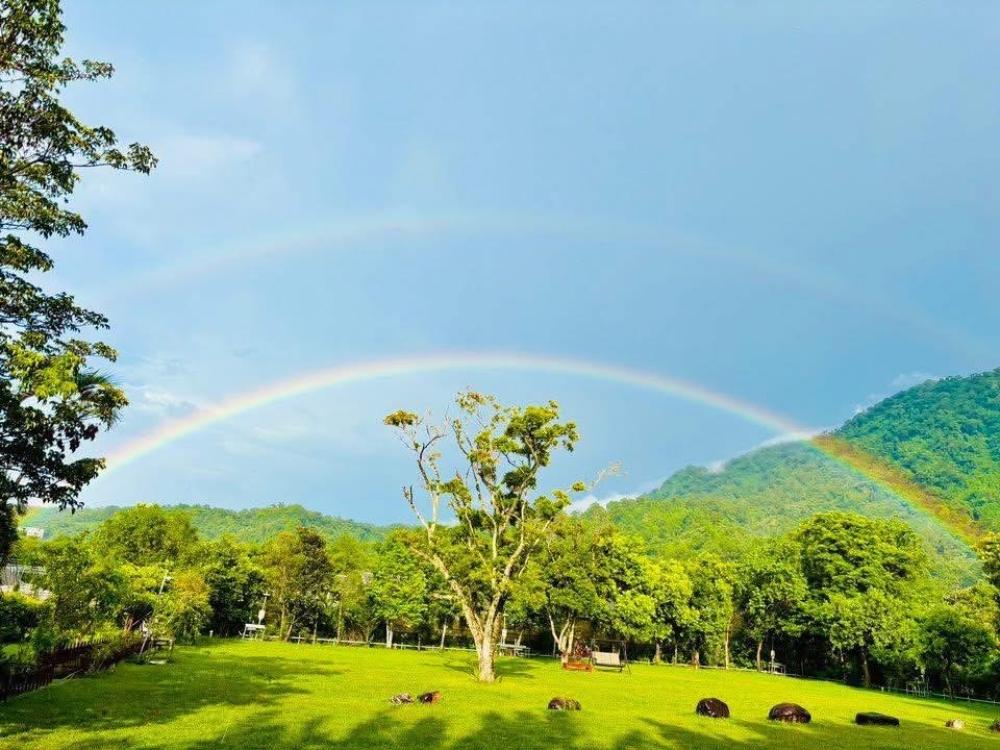       ( B )   星空區     ｜ （露營車 拖車&車尾帳無法預訂）嚴禁外來訪客